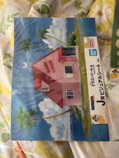 一番くじ ドラゴンボール EX 孫悟空修行編 ビジュアルシート