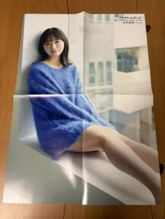 Item thumbnail for item 85450740-4b08-4005-b546-10779004afaa