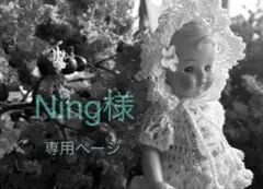 Ning様オーダージャーナル①