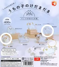 うちの子のけだまだま　犬のけだまだま　柴犬 三角たれみみ