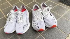 Item thumbnail for item ef87f77d-e988-4c0b-a022-80f8c3e513ca