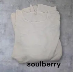 soulberry アイボリー リブ編み 長袖ニット　タグなし未使用　Lのサムネイル