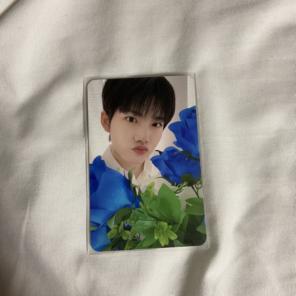 ジュンギュ ナイトガーデントレカ