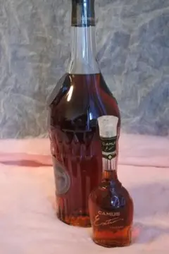 2025年最新】camus xo ミニの人気アイテム - メルカリ