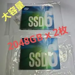 大容量 美品 Intel SSD6 665p 2048GB 2枚