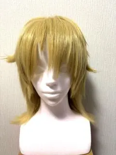 あんスタ　羽風薫　ウイッグ セット済み