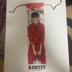 ハイキューペイントスーツガーランドコレクション孤爪研磨