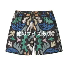 美品 パタゴニア メンズ バギーズショーツ (5インチ) カレイド(KALB) 美品 パタゴニア メンズ バギーズショーツ (5インチ) カレイド(KALB