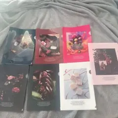 パレドオール