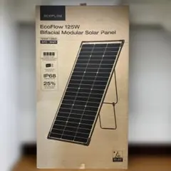 EcoFlow 125W バイファシアルソーラーパネル 専用バッグ付き - メルカリ