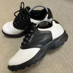 Item thumbnail for item 6b1295b0-de9f-401f-8d3d-595e69f9db89