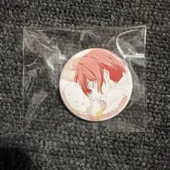 24時間以内配送】Free! 松岡凛 Butterfly 缶バッジ8個セット - メルカリ