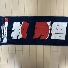 Item thumbnail for item 7a7dec79-0fb5-4711-90b6-c7c566bf1e86