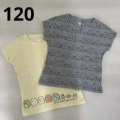 すみっコぐらし Tシャツ 2枚セット 120
