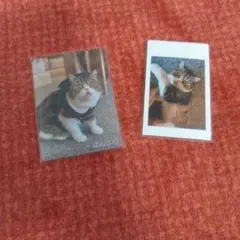 Item thumbnail for item 0014094e-34b0-4c3e-9d1b-053bbd319fd3