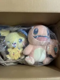 LittleDaydreamピチューとピカチュウ ヒトカゲとリザードンぬいぐるみ