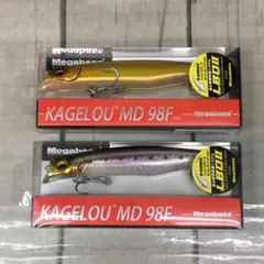 Item thumbnail for item f11d06c2-7574-4173-a9d0-3ecbb1c2f251