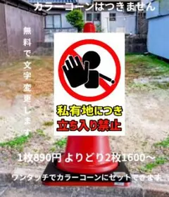 Item thumbnail for item b0448142-0df6-4c2d-8879-0121541b4cac