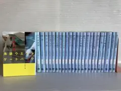 Item thumbnail for item 3c8d16fe-82ef-4ef6-a291-6ffb773cbb71