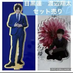 目黒蓮　渡辺翔太　SnowMan トリリオンゲーム　ウソ婚