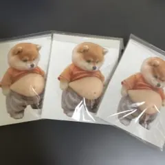 【訳あり】柴犬 お腹 ぷにぷにシール3枚セット