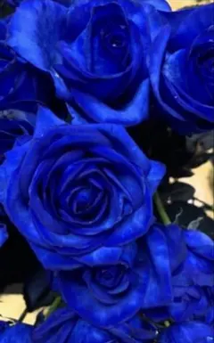 ま〇…様専用ページロイヤルブルー花束