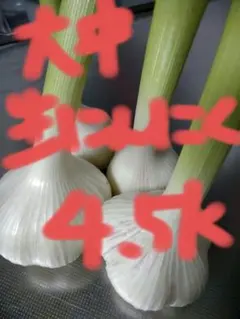 農薬不使用　大中　生ニンニク　4.5kgのサムネイル