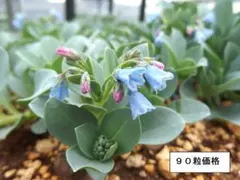 あつ様 リクエスト 4点 まとめ商品
