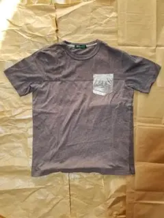 GoldenBear グレー Tシャツ M