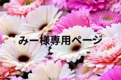 みー様専用ページ