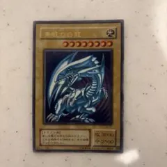ブルーアイズホワイトドラゴン 遊戯王OCG デュエルモンスターズ