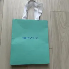 ⭐︎ティファニー⭐︎ショッパー⭐︎