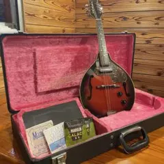 Kentucky KM110S マンドリン ハードケース付き ケンタッキー - メルカリ