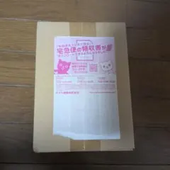 2026年最新】ポケモンカードゲーム 拡張パック 未来の一閃 BOXの人気
