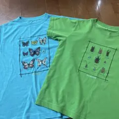 mont-bell 蝶と昆虫のTシャツ2枚セット