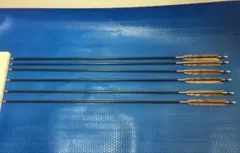 弓道 矢 EASTON XX75 2014 6本セット 弓道 イーストン EASTON XX75 2014 ターキー ジュラルミン KF-3風 矢6