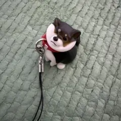 黒柴 カプセルトイ