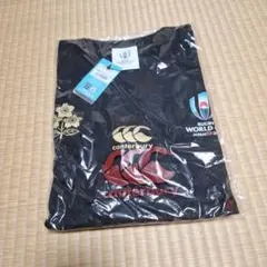 Item thumbnail for item 0611ec66-d0c6-49d2-896a-bba5176d90a8