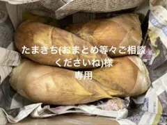 たまきち(おまとめ等々ご相談くださいね)様専専用【予約】