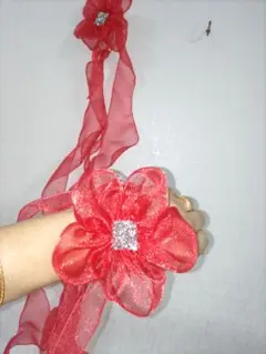 社交ダンスオーガンジーフロート赤