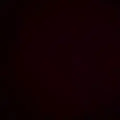 もんきち様専用