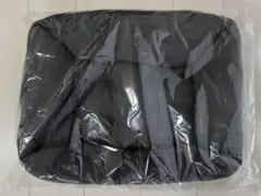 Item thumbnail for item d470200a-2643-411b-a7ab-ddca1ad1f569