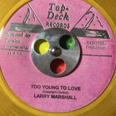 3946 レゲエ レコード 7インチ color vynal