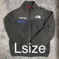 ノースフェイス　supreme jacket