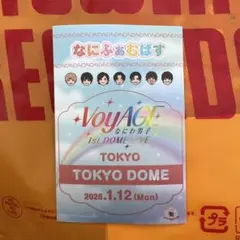 1/12 VoyAGE 東京ドーム なにふぁむぱすステッカー