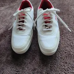 Item thumbnail for item 1ada969d-ccdf-4958-b96e-92c05372960c