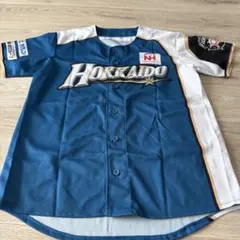 北海道日本ハムファイターズ ユニフォーム HOKKAIDO 24のサムネイル