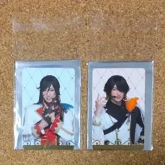 刀ミュ ふぉとカ 和泉守兼定 長曽祢虎徹