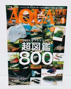 アクアライフ　まとめ売り アクアライフ2023年5月号は4月11日発売！ ｜ エムピージェー