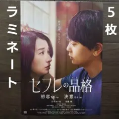 映画　セフレの品格　ラミネート+　チラシ　フライヤー　５枚